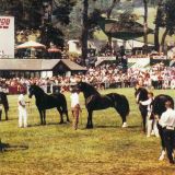 1991 Yearbook