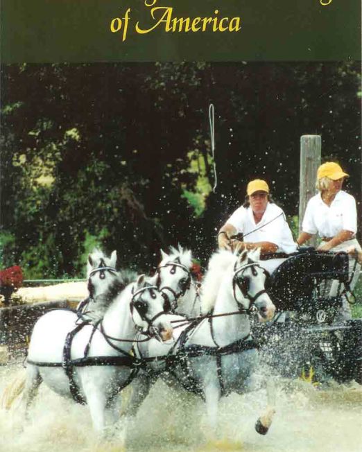 2003 Yearbook